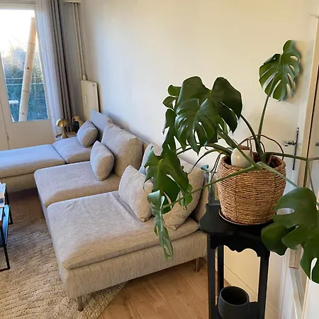 Le Tournesol شقة ليل